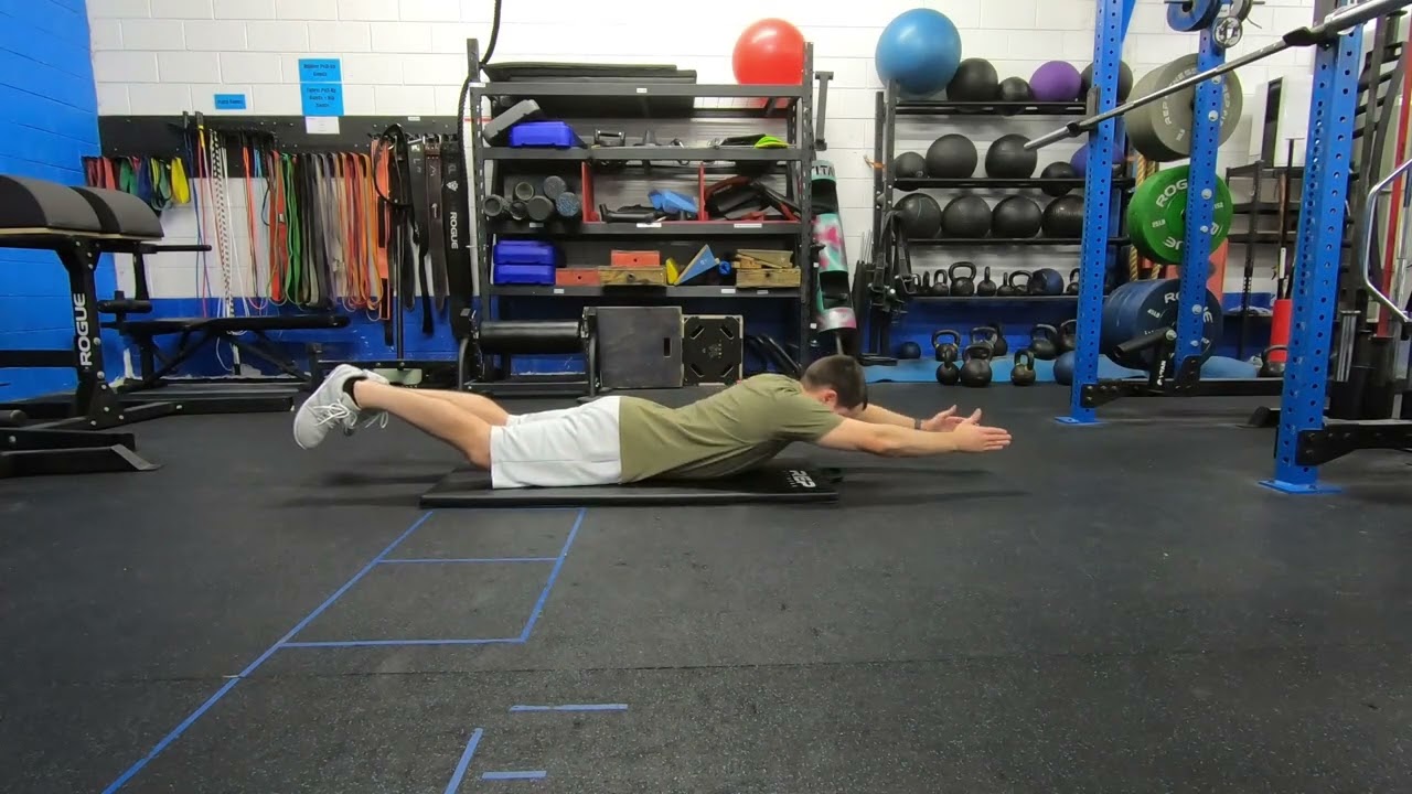 Prone Lying Snow Angels