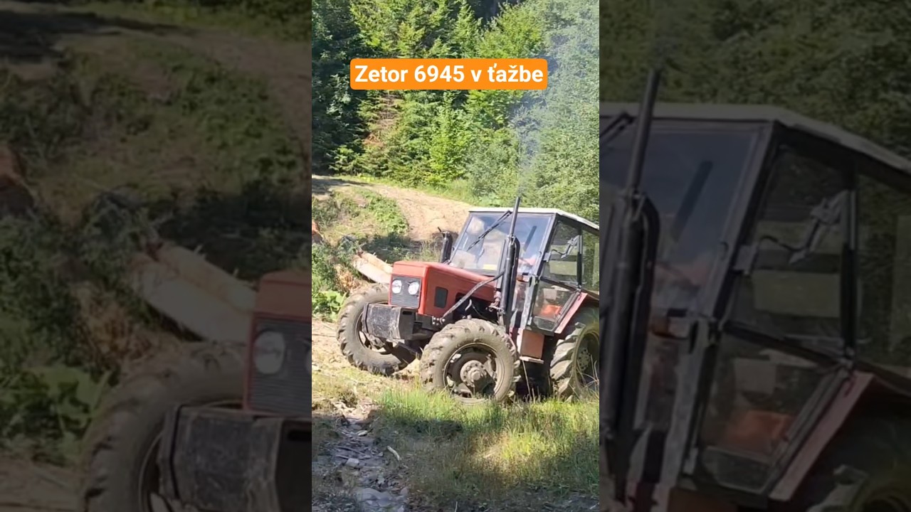 Zetor 6945 v ťažbe such&aacute;rov #forest #tractor #zetor #farming #logging #stihl