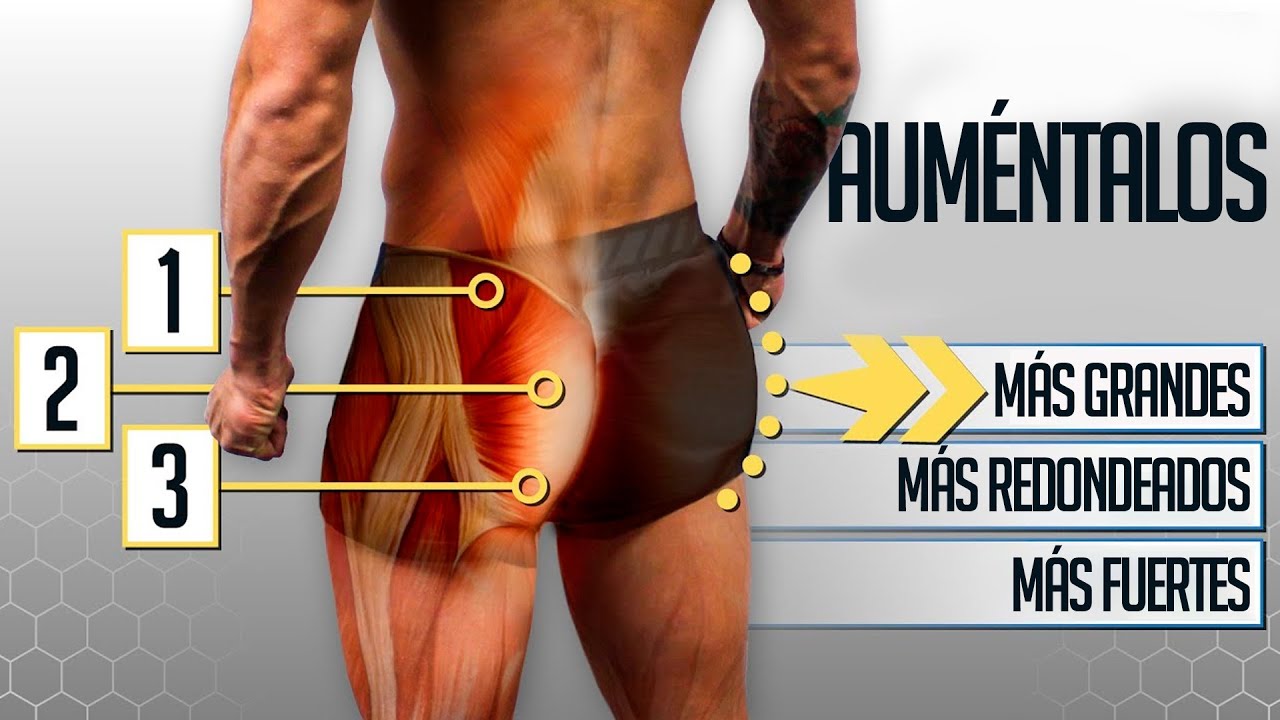 Los MEJORES 4 ejercicios de glúteos para tener un buen trasero (en gym o en casa)con Bret Contreras