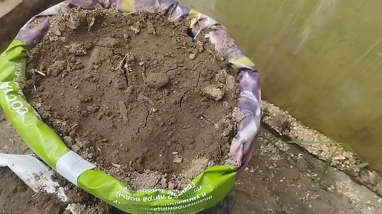 Клумбы готовы. Начали садить огород