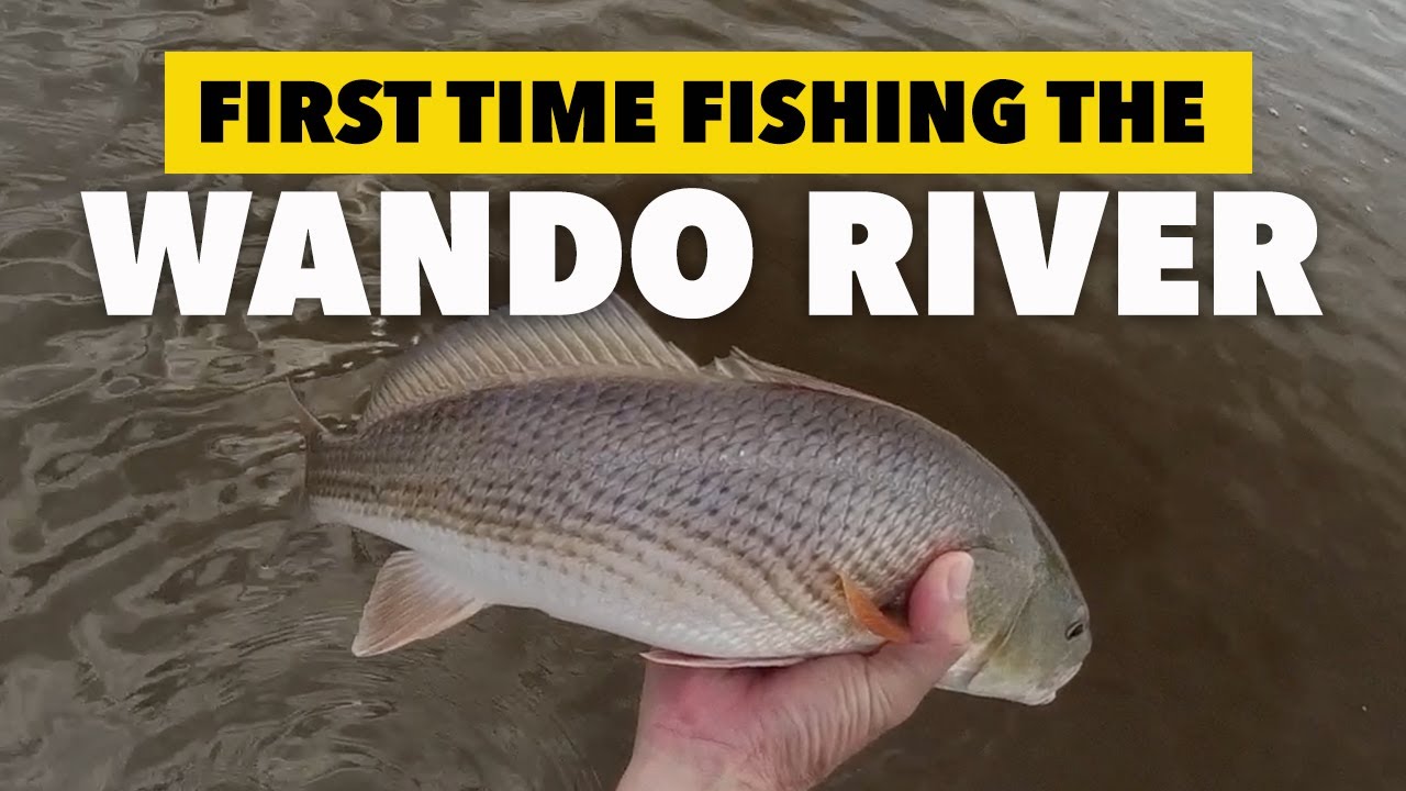 First time kayak fishing the Wando River