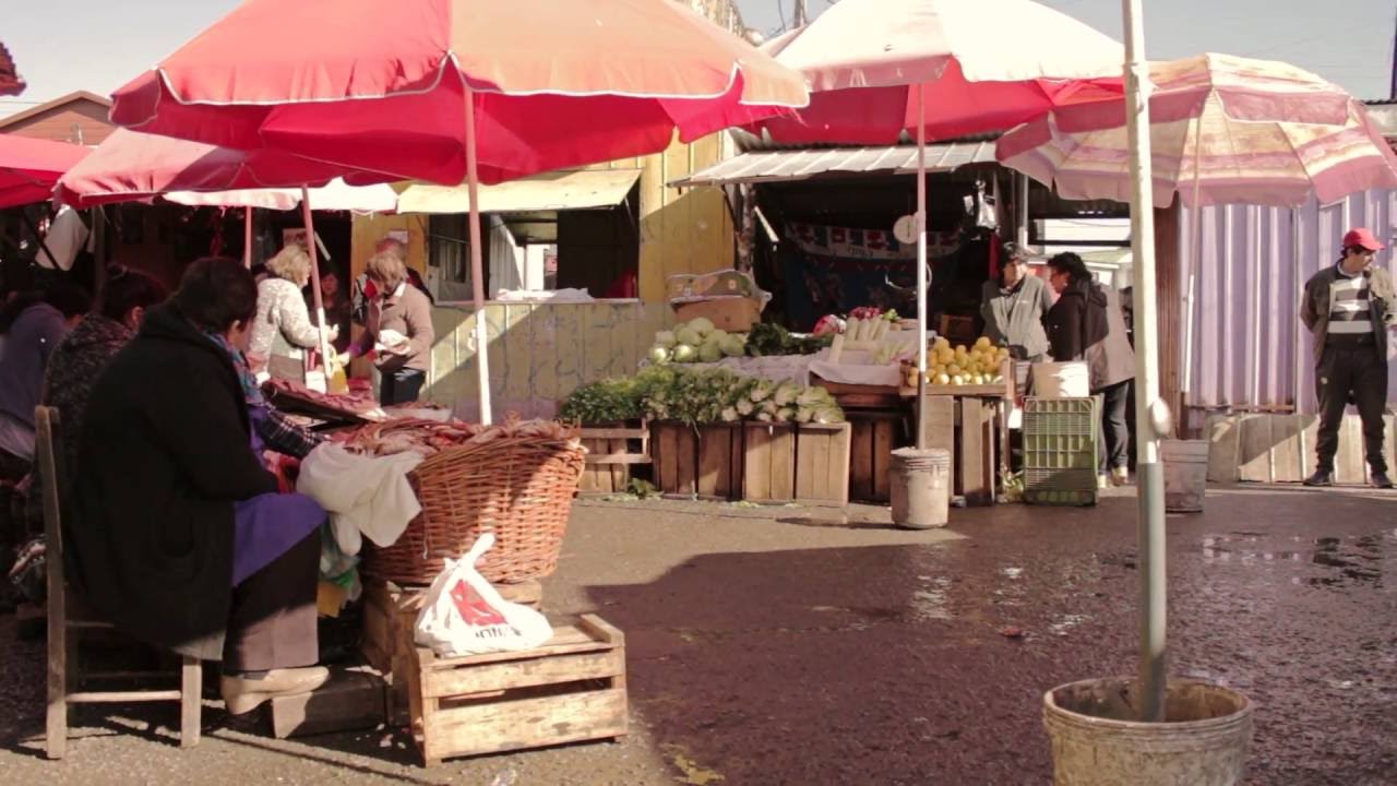 Territorios - Feria de Lota