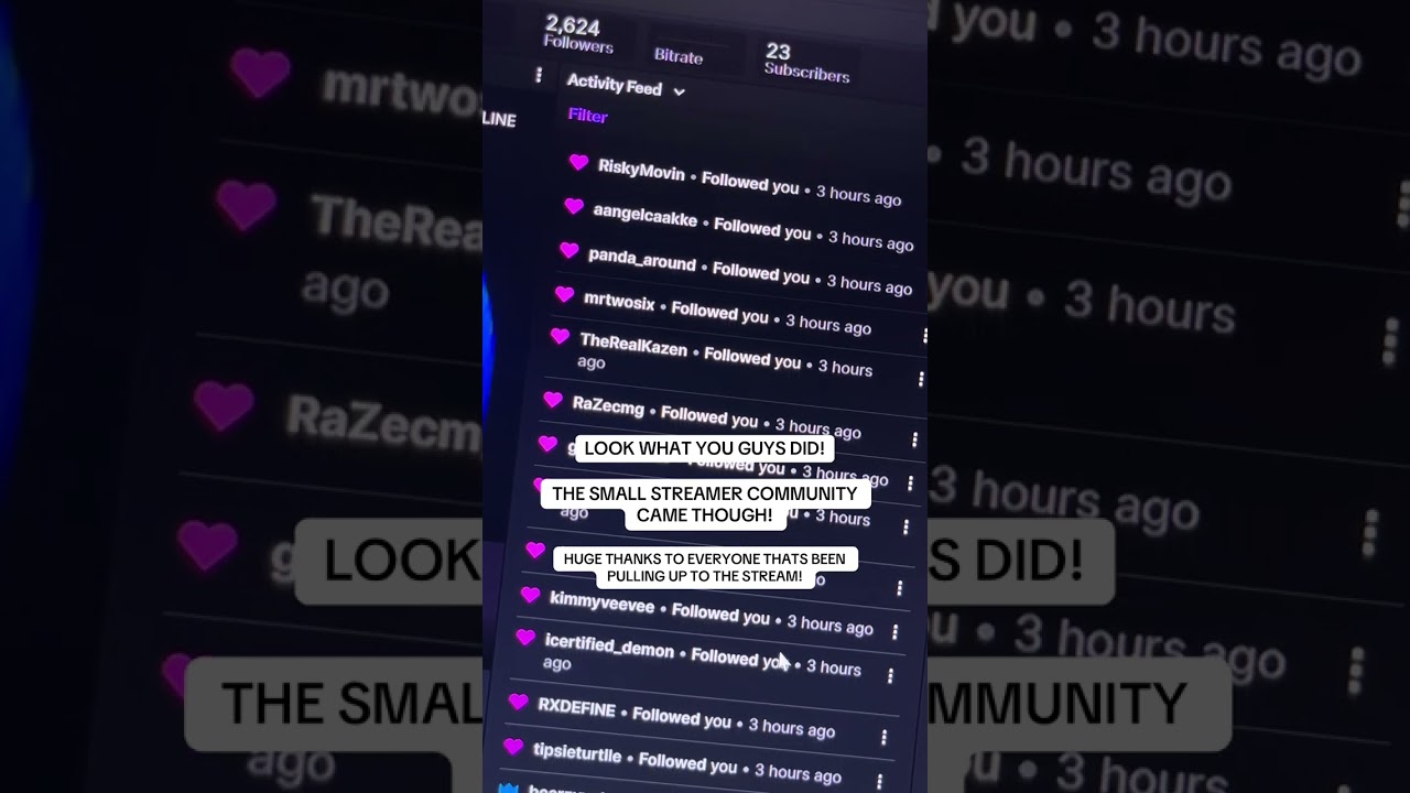Small streamer community is going crazy! #twitch #twitchstreamer #rizzogames #streams