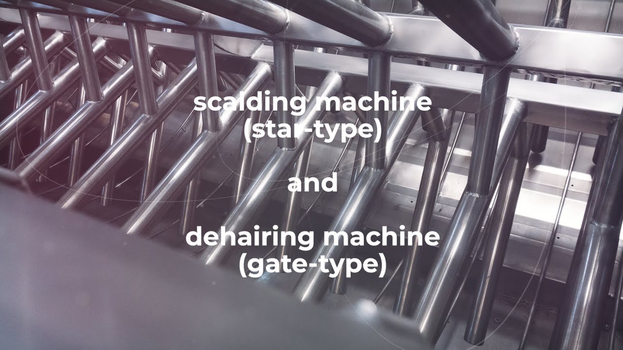 NIROTECH - Scalding + dehairing machine