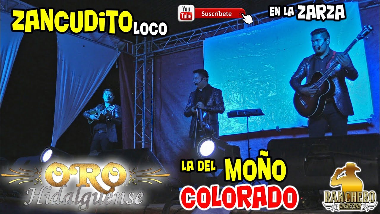 Trio Oro Hidalguense  - El Zancudito Loco y la del mo&ntilde;o colorado