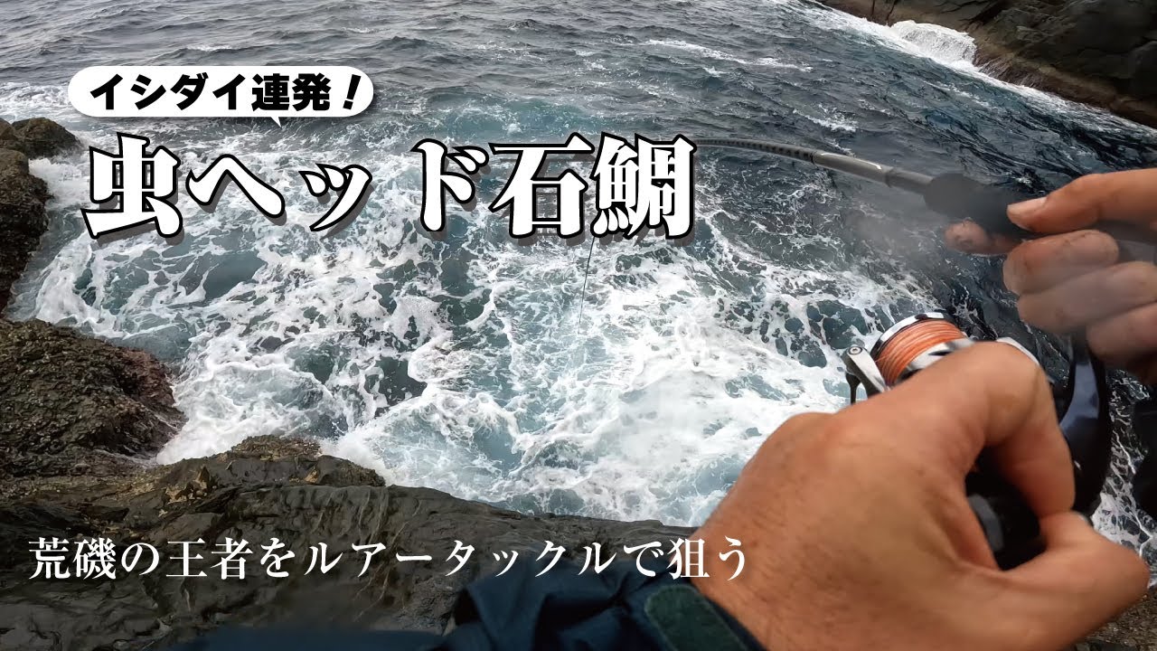 イシダイ連発！虫ヘッド石鯛