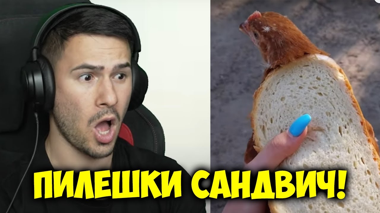 ТАКА СЕ ПРАВИ ИСТИНСКИ ПИЛЕШКИ САНДВИЧ😂Луди идеи в Тик Ток