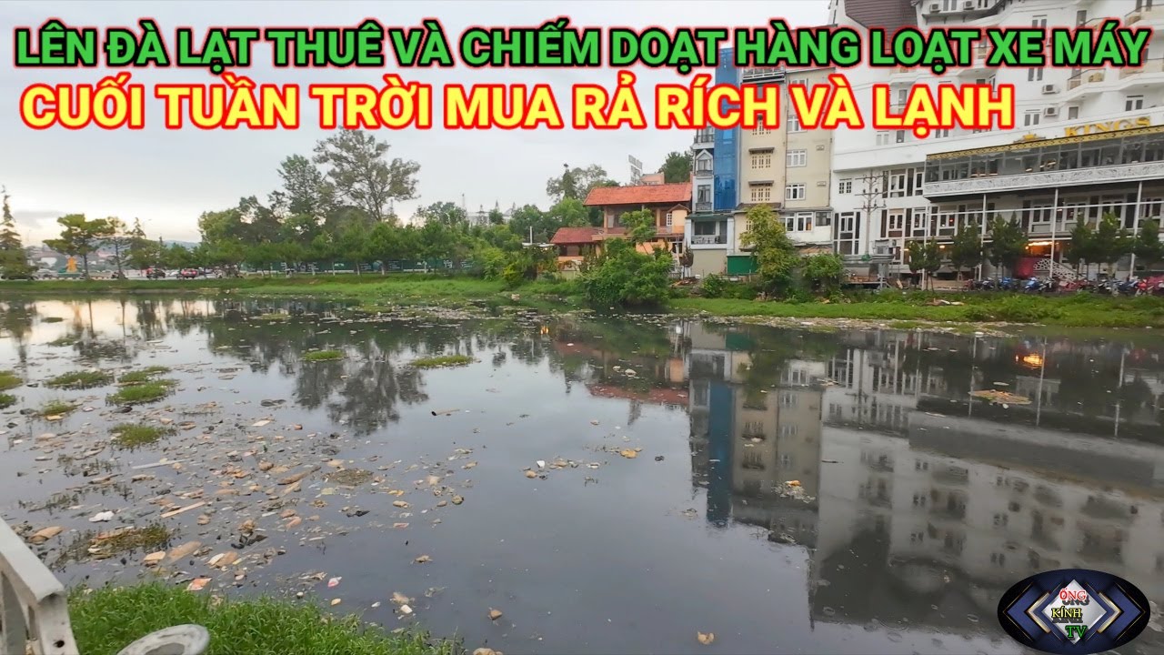 LÊN ĐÀ LẠT THUÊ XE MÁY VÀ CHIẾM ĐOẠT HÀNG LOẠT. TRỜI MƯA RẢ RÍCH CUỐI TUẦN