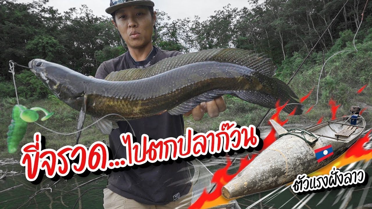 ขี่จรวดไปหวดปลาก๊วน...ข้ามประเทศไปล่าปลาช่อนงูเห่าลาว