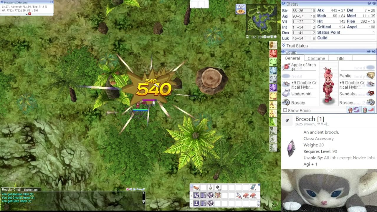 Assassin Katar Crit Build - Max Level 99 Farming for Brooch[1] - Ragnarok Classic