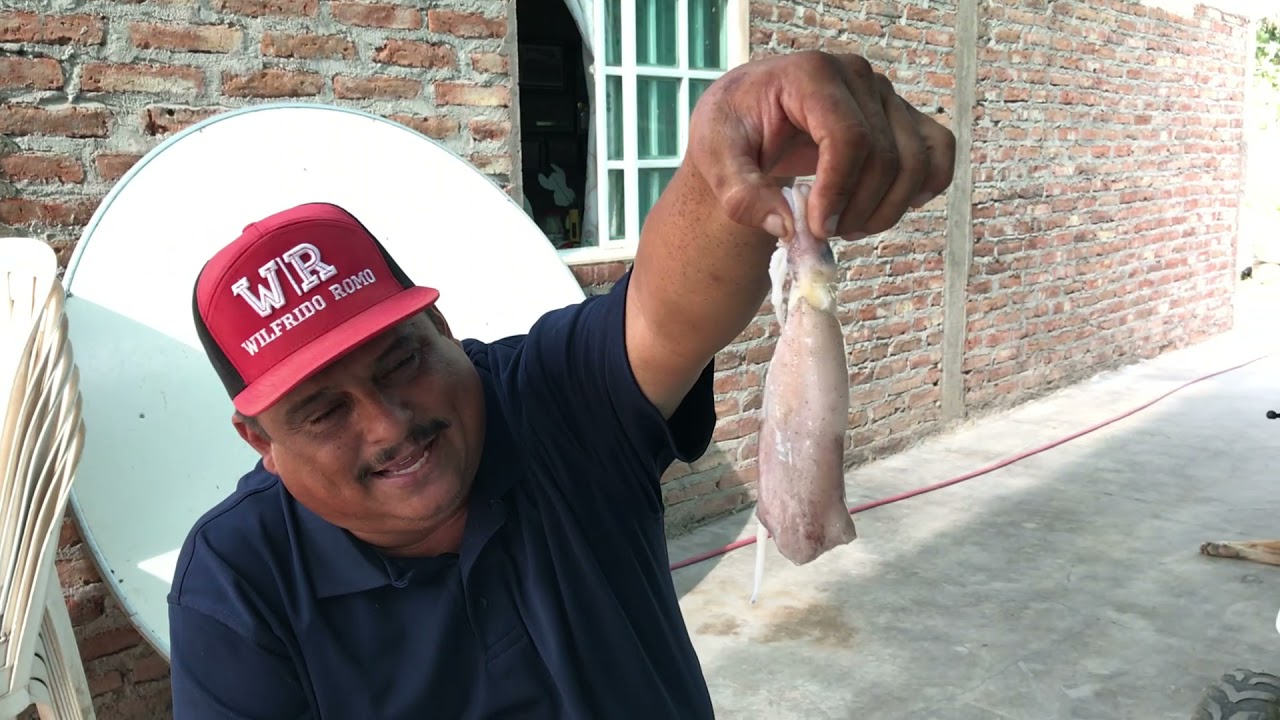Cociendo calamar regional este es el proceso