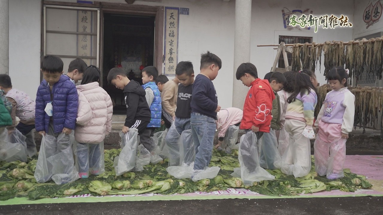 《鹹菜入甕 福氣滿載》客家新聞雜誌第988集