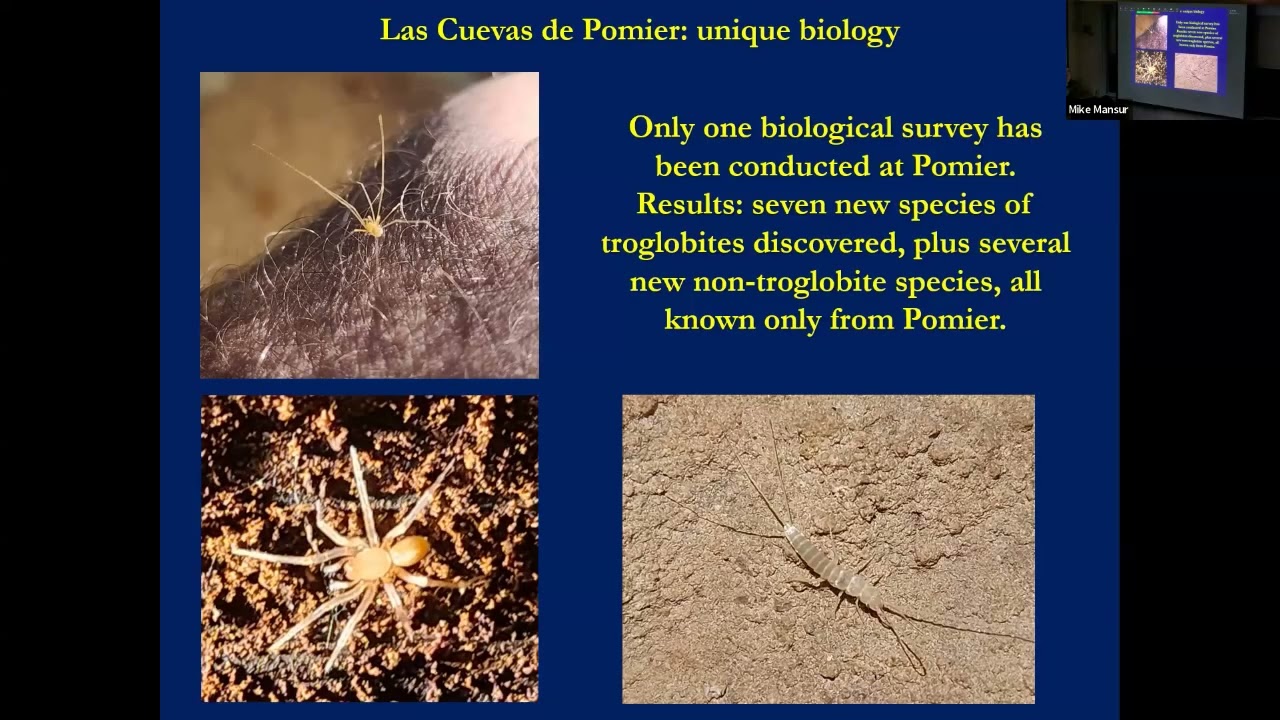SWR Winter Tech 2025: [Pomier Caves' Importance, and Damage and Destruction Resulting from Quarries]