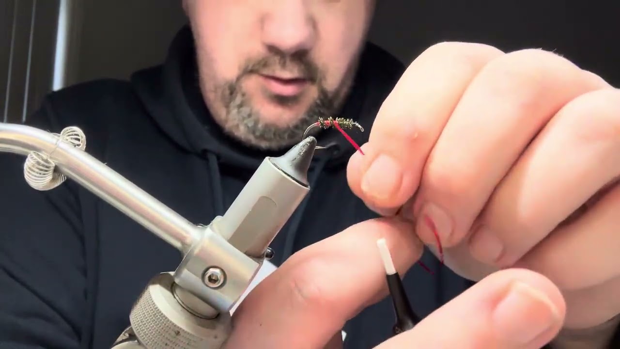 Tying the booby cormorant 