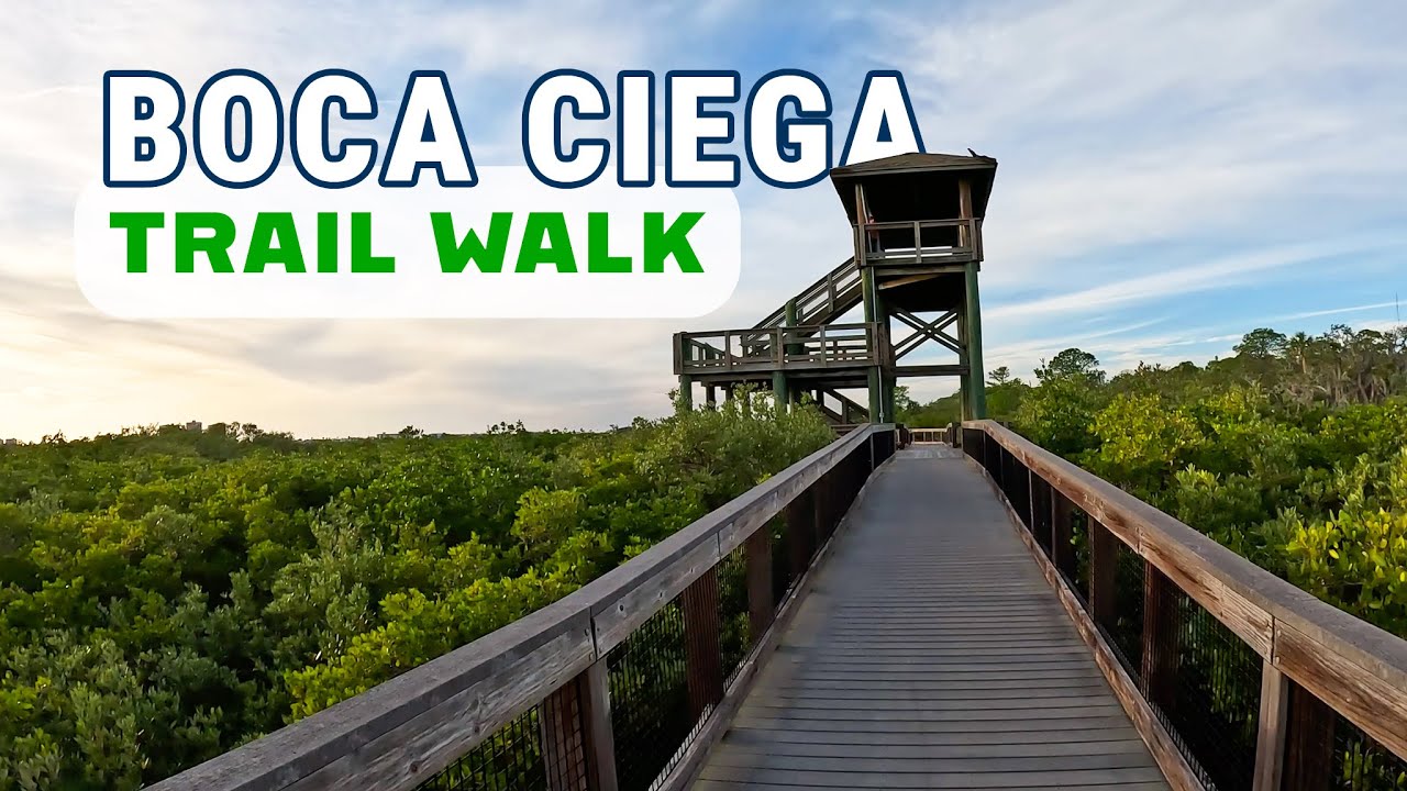 Virtual Walking Video For Treadmill | Gorgeous Trail Walk Boca Ciega Park