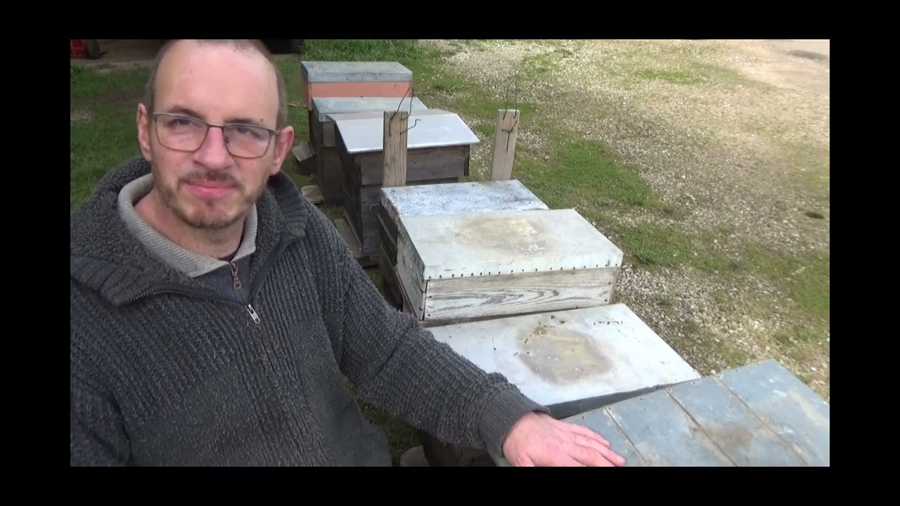 Des abeilles gratuites? Pose des 