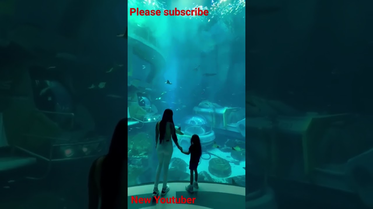 The unique aquarium #Please Subscribe
