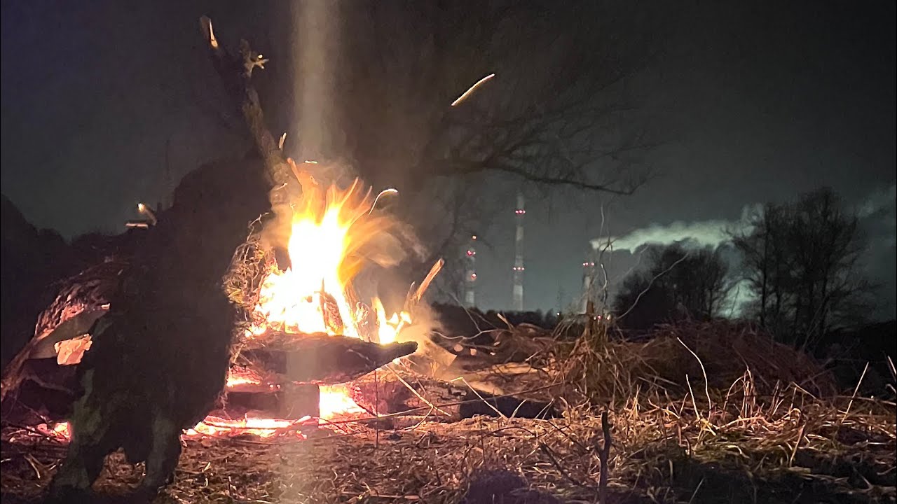 Karpiowy horror . Dolna Odra Styczeń 2026