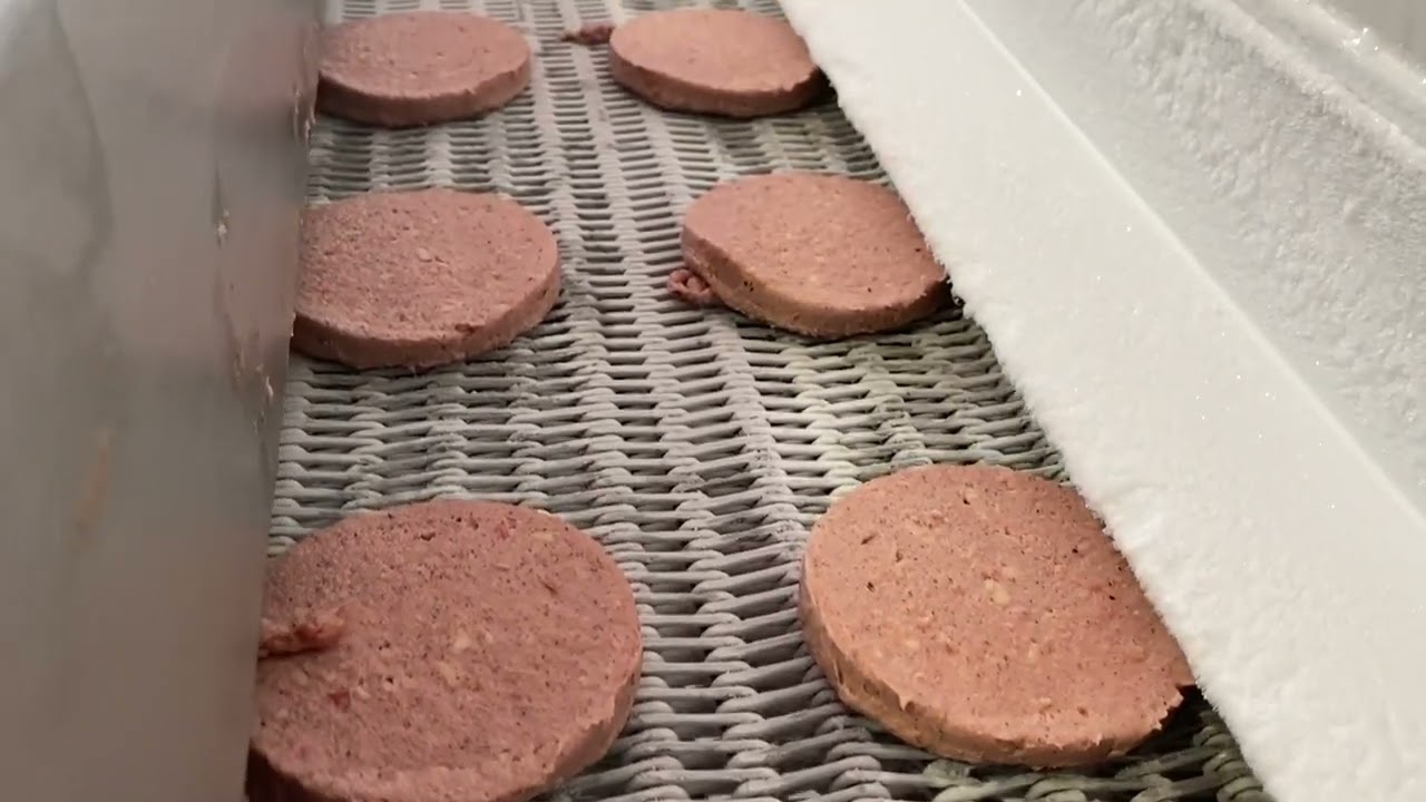 Formax F6 Burger Former