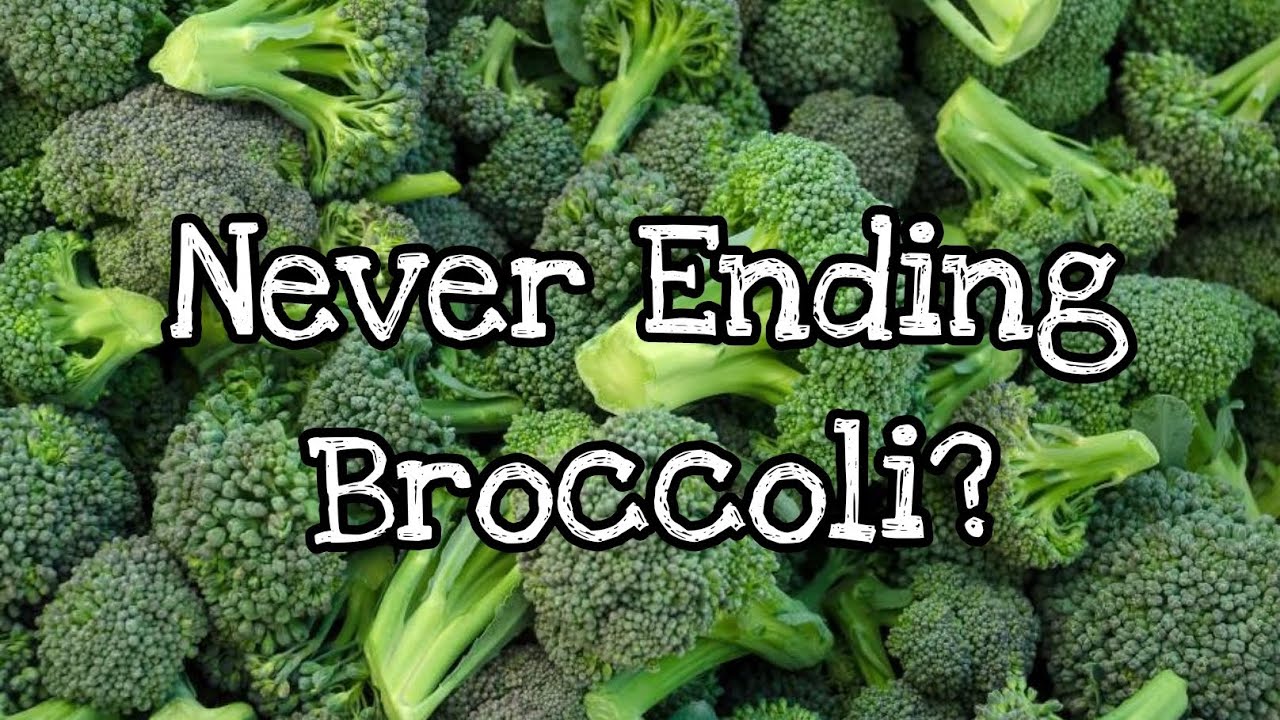 Re-harvest your Cabbage 🥬 and Broccoli 🥦!