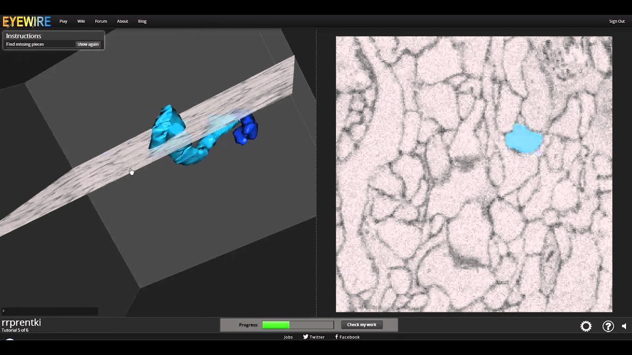 Eyewire Tutorial 2