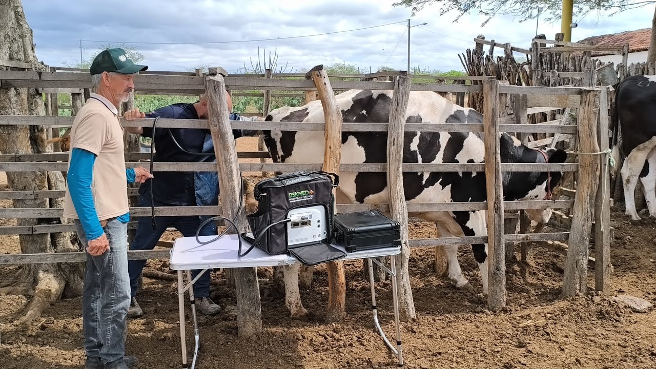 DR ALYSSON VEM FAZ ULTRASSOM NAS VACAS DE LÁZARO E FALOU SOBRE CÃIBRA QUE DA NAS VACAS !!!!
