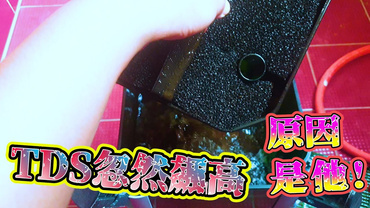 沒想到會是這個原因造成水草缸中TDS~瘋狂飆高