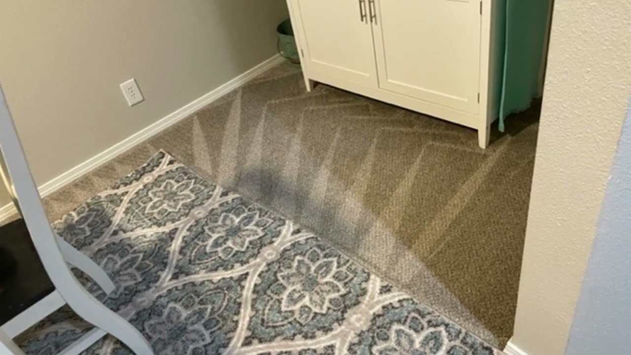 Professional Carpet Cleaning Services in Boise, Eagle & Meridian: Pet Odor & Stain Removal