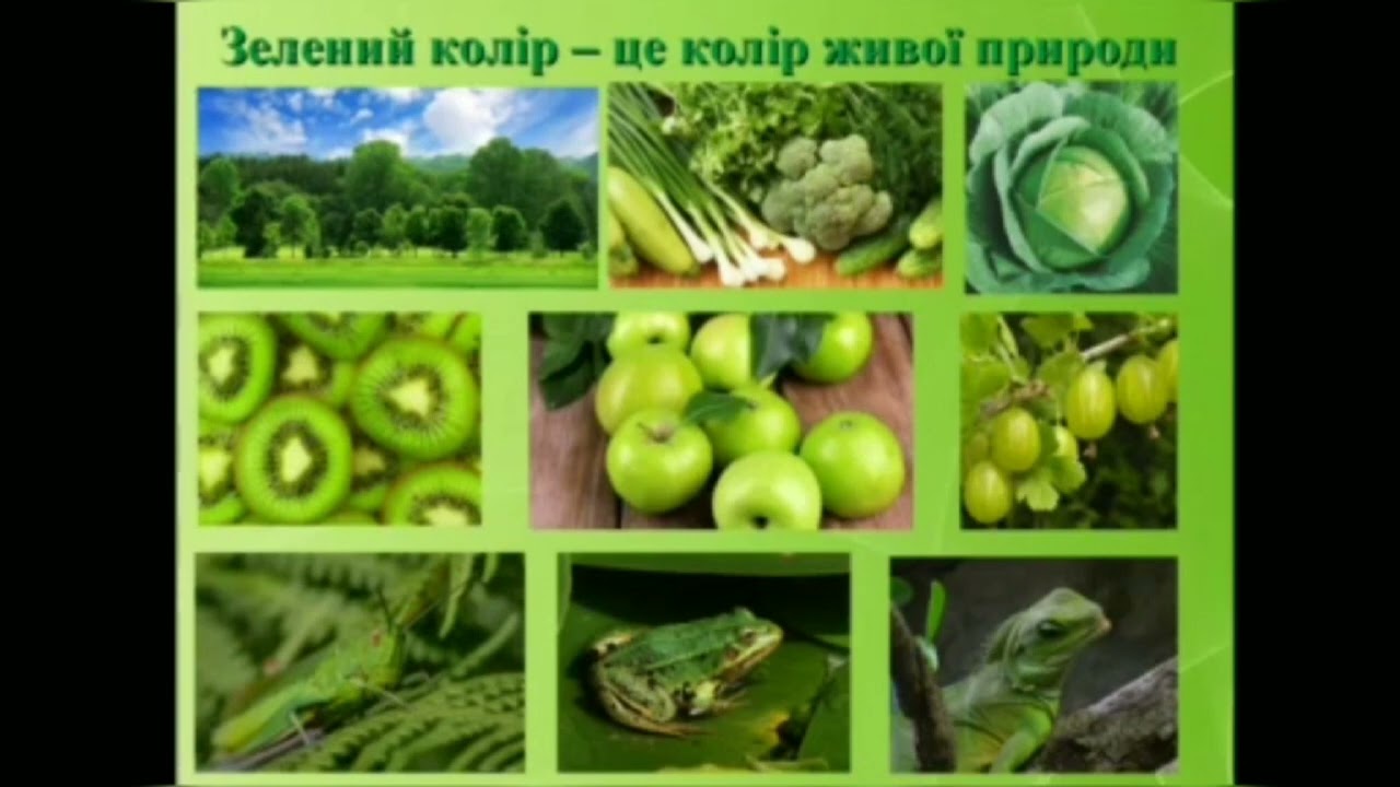 Кольоровий тиждень. Зелений день.
