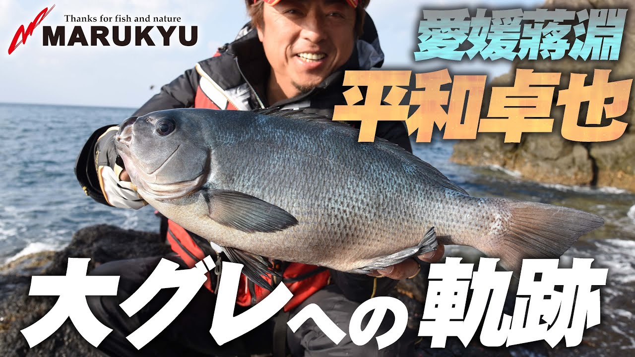 【寒グレ完全攻略】平和卓也 初めて上がった磯での釣り展開術