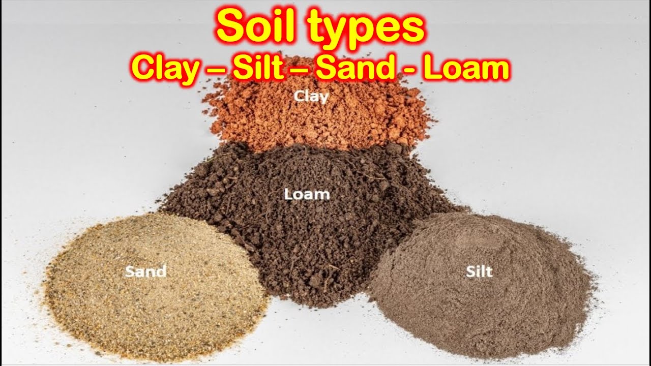 Types of soil (based on particle size): Clay, Sand, Silt, Loam | UPSC