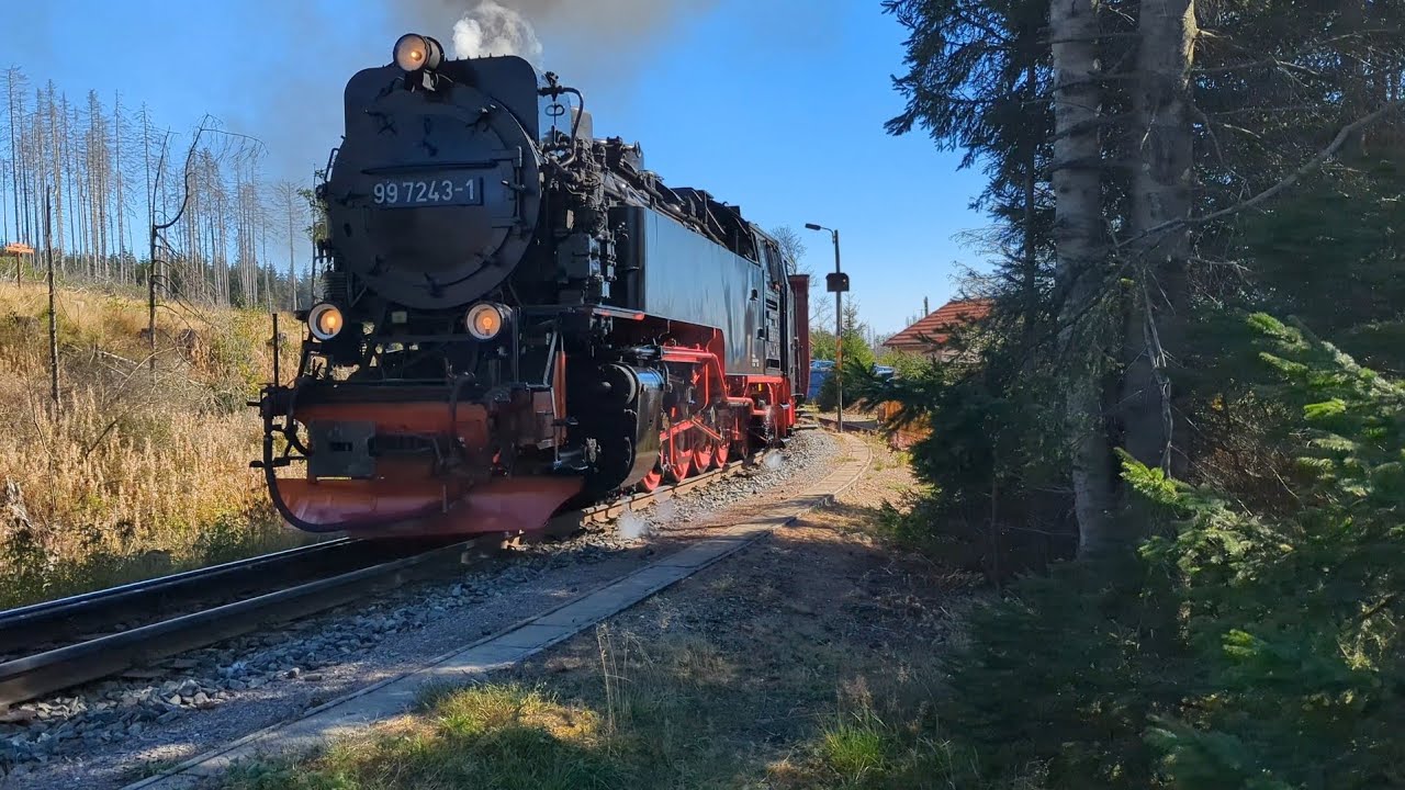 Tag der Schiene HSB 99 7243-1 mit Salonwagen Ein-/Ausfahrt Bahnhof Schierke 16.9.23