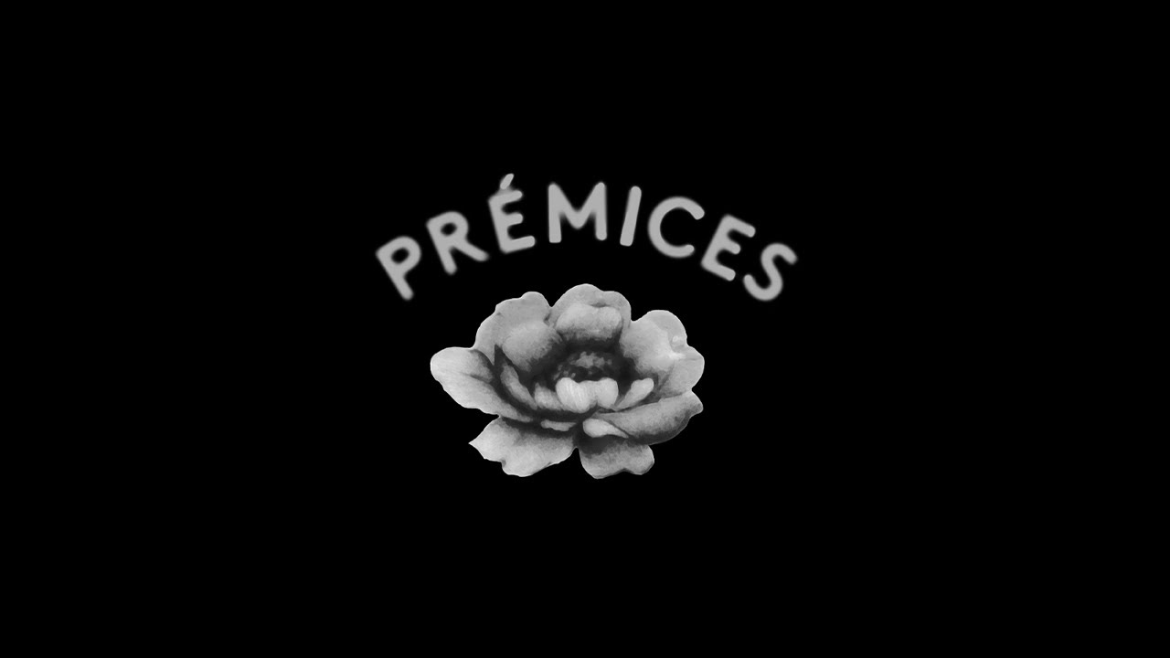 Nicolas Maury - Pr&eacute;mices (Clip officiel)