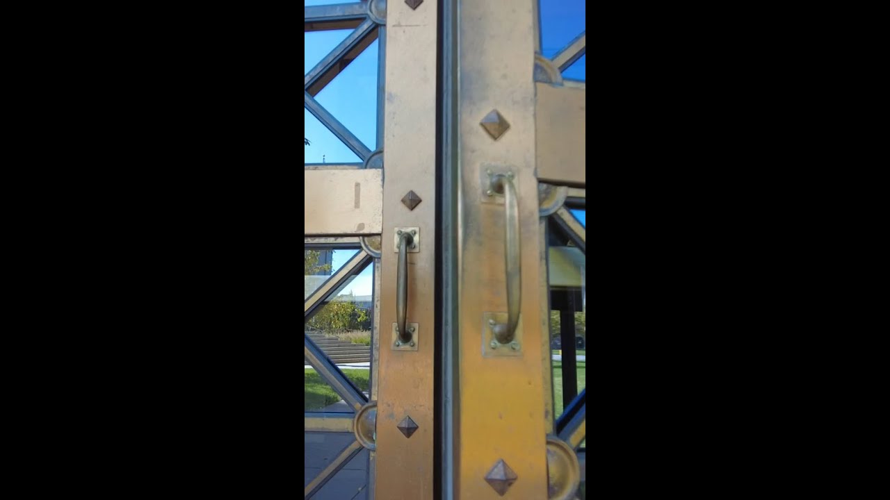 Automated license plate reader mistakes 