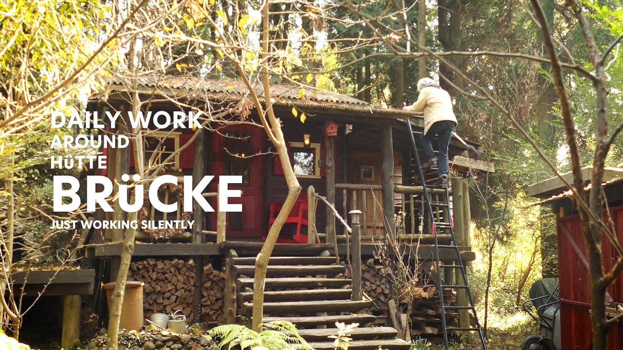 November’s end | Daily work around my Cabin