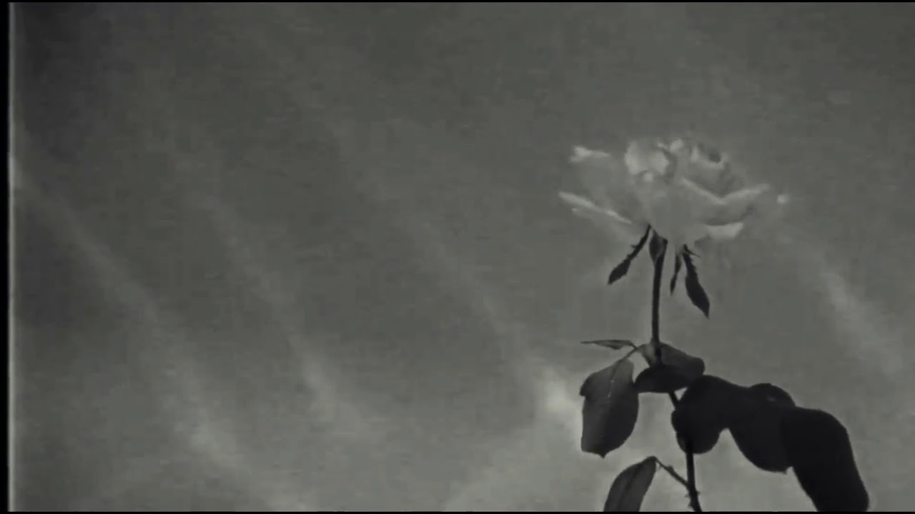 PITFALL - Hopes From Your Handstied (Visual)