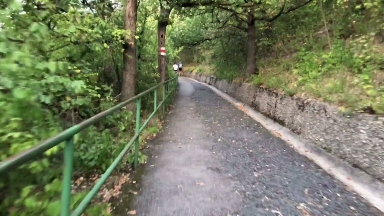 Nasenweglauf