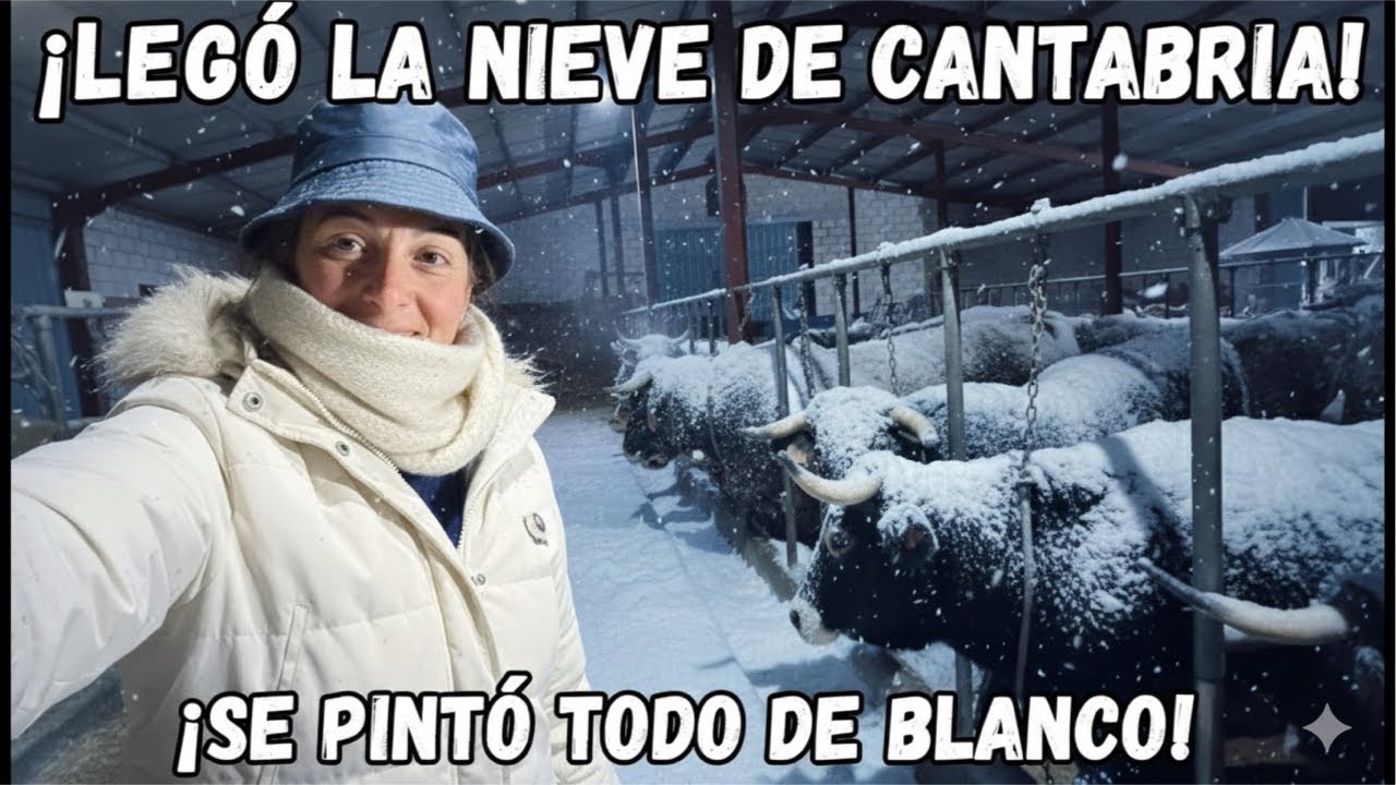 ‼ Se pinto todo de blanco‼