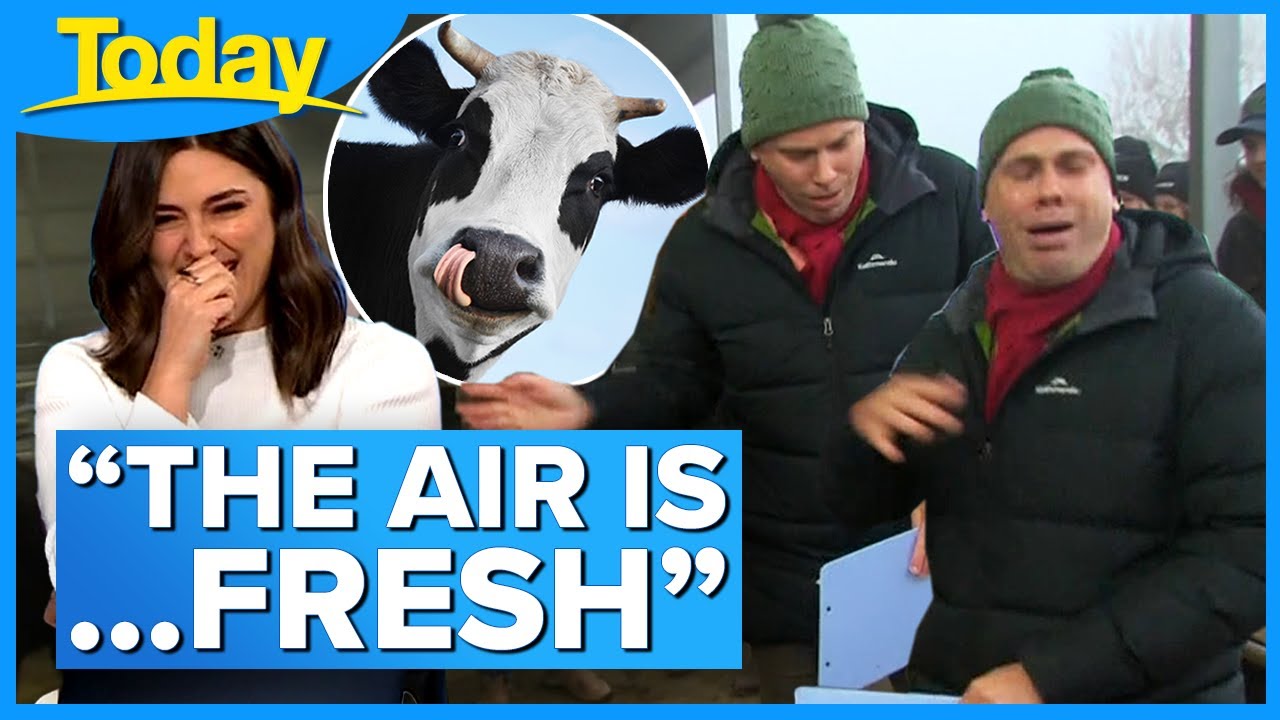 Weatherman gets a ‘case of the gags’ from pungent farm smells 😂 | Today Show Australia