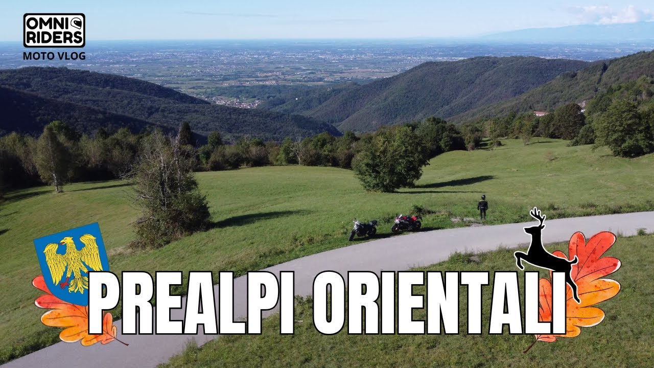 Panorami, asfalto bagnato e un CAPRIOLO a sorpresa! Prealpi orientali in moto #motovlog #friuli