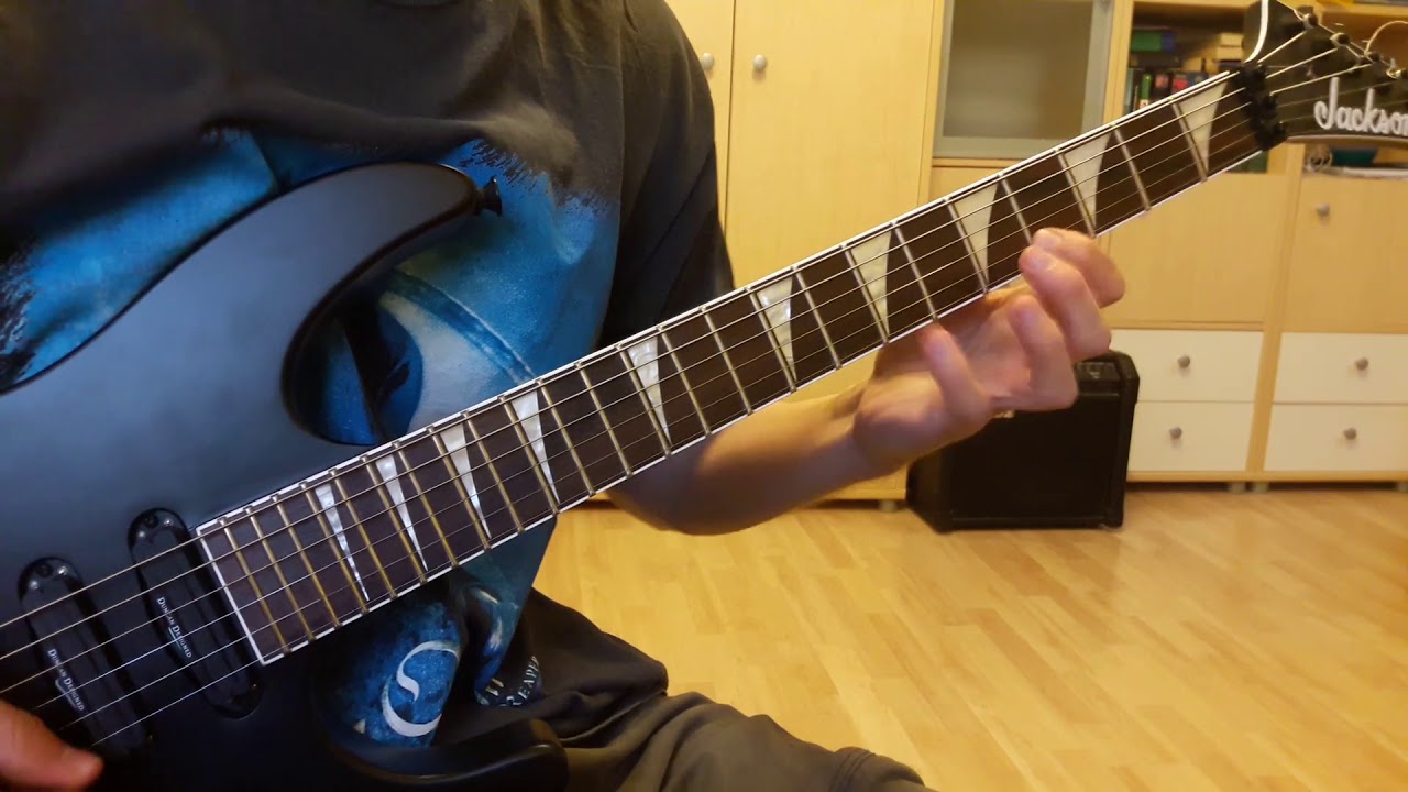 Children Of Bodom - Follow the Reaper Cover
