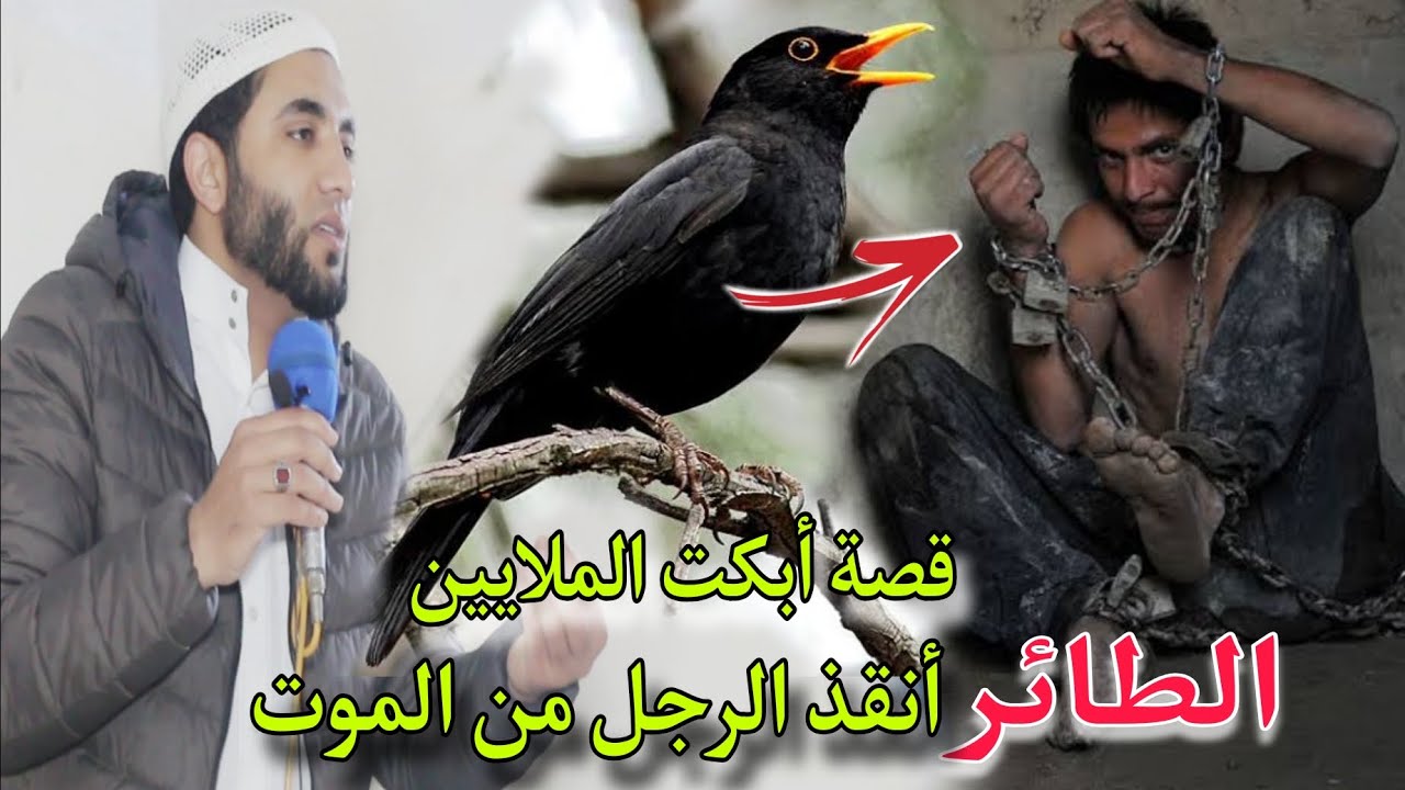 قصة عجيبة 