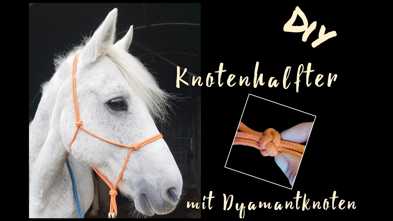 DIY Knotenhalfter f&uuml;r dein Pferd mit Diamantknoten