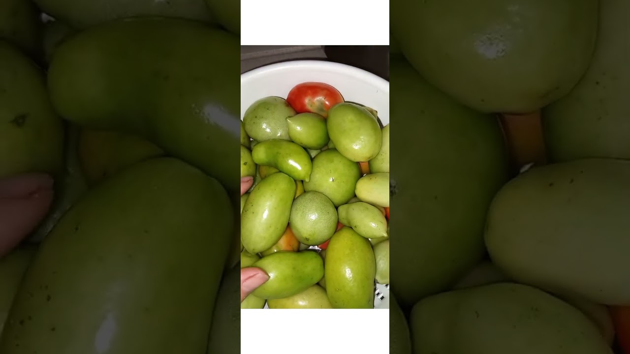 Pomodorino sott'olio ❤️ Gusto ❤️ Esterzili ❤️ Sardegna ❤️ AjòBeniCaTiContu ❤️ 