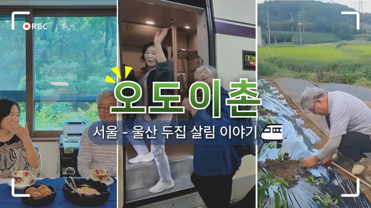 [더시그넘하우스 9월 ‘동행’] 🏙️서울 실버타운 ↔ 🏡울산 전원주택, 오도이촌 부부의 두 집 살림이야기💕