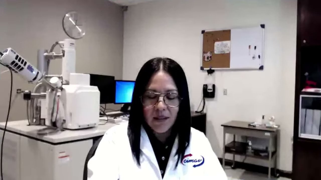Webinar: Microscopía Electrónica de Barrido.