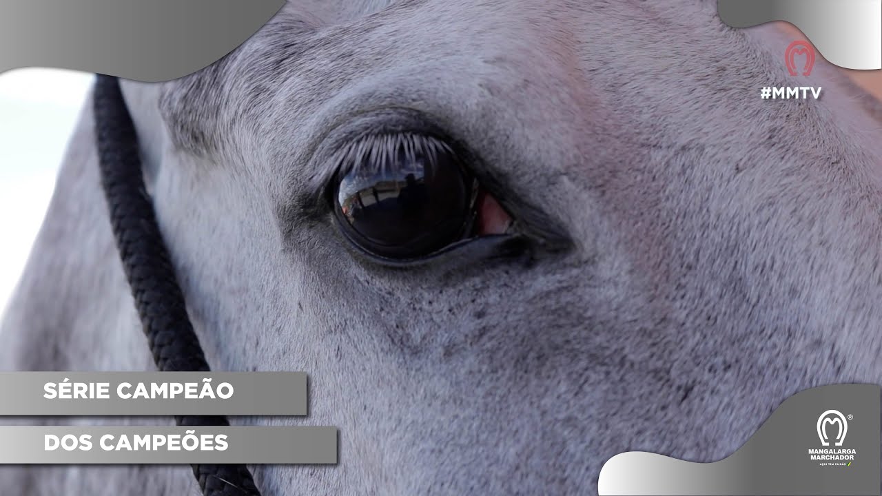 ATENA DO ESCURO - A TRAJETÓRIA DE UM CAMPEÃO NACIONAL EPISÓDIO 07