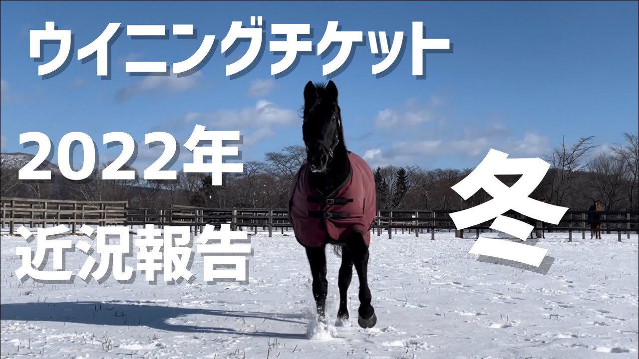 ウイニングチケット近況報告　2022年・冬