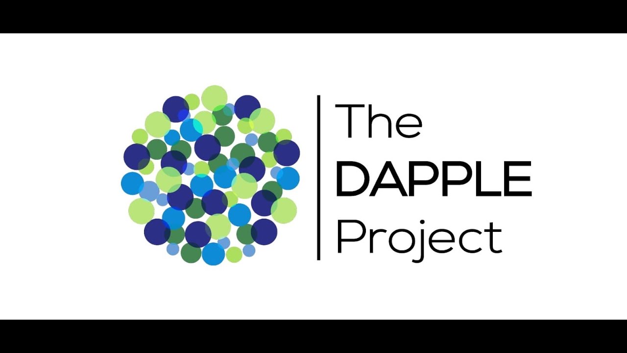 The DAPPLE Project information video (NIHR159160)