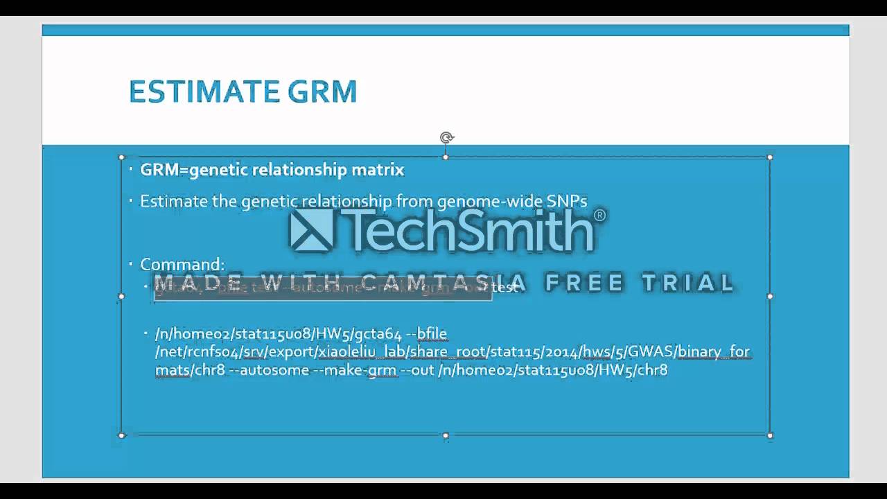 GCTA